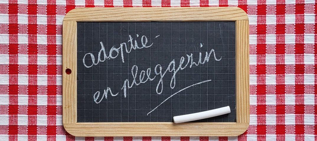 Aan tafel met adoptie- en pleeggezinnen