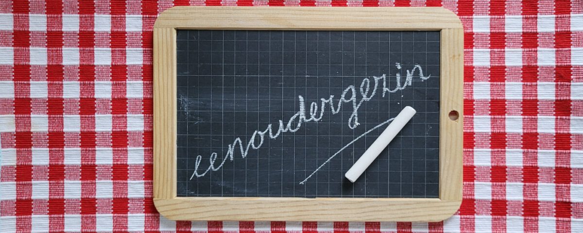 Eenoudergezin