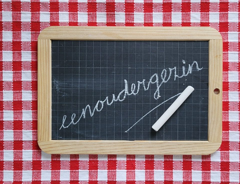 Eenoudergezin