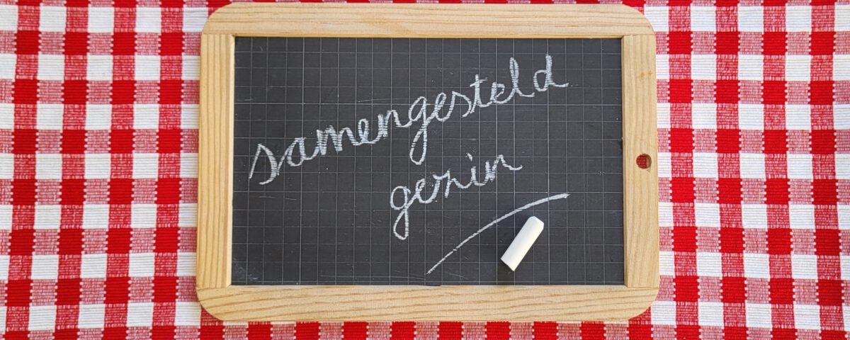 Samengesteld gezin, het stiefgezin