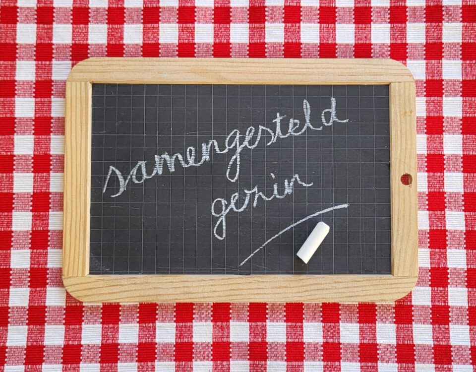 Samengesteld gezin, het stiefgezin